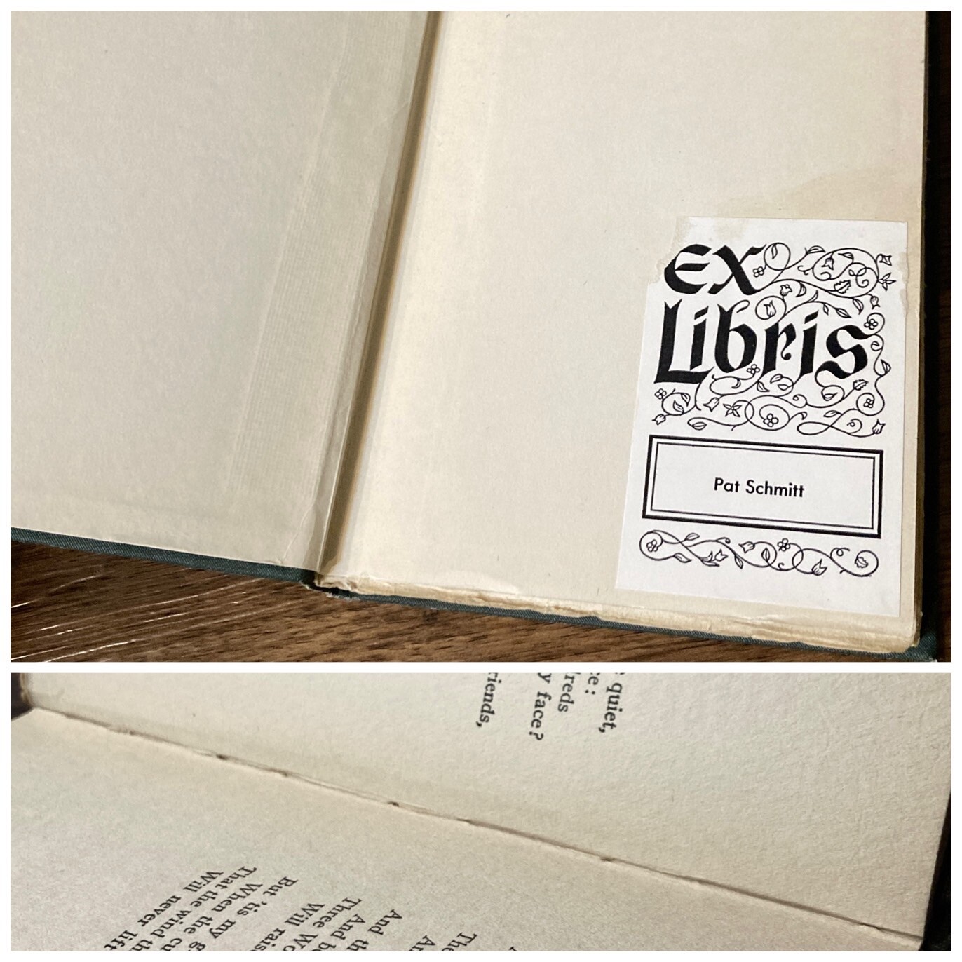 Wild Earth & Other Poems – Padraic Colum (1st edition) Henry Holt & Co., 1916