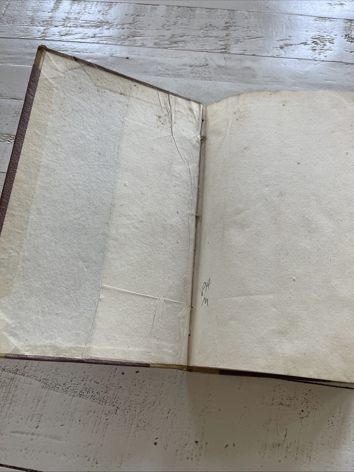 Quaestiones Philosophicae Vol. 1 by Sylvestro Mauro, 1875 Catholic Work