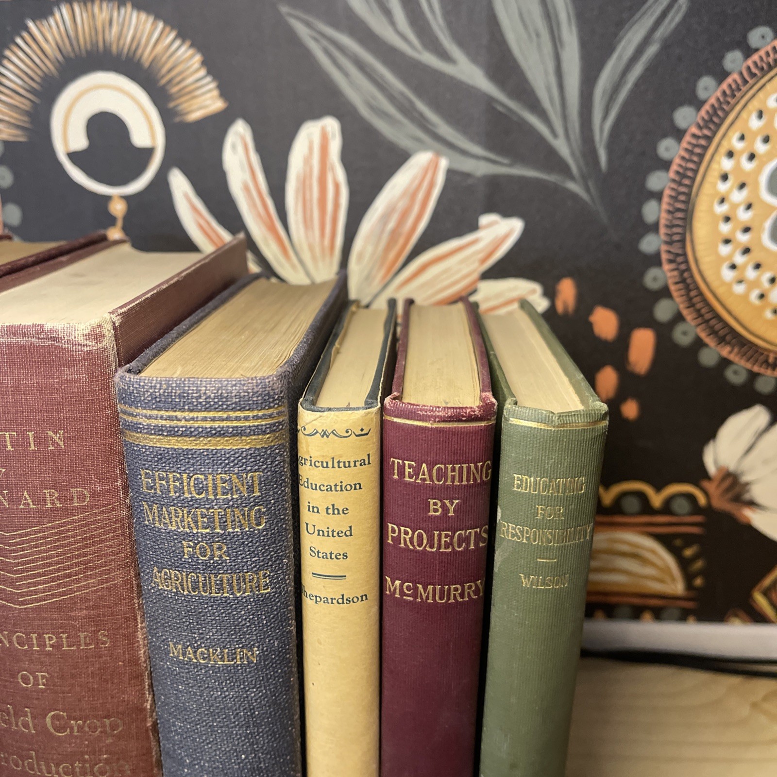 Antique Macmillan Agriculture & Rural Sociology Lot (6) 1920-1929 First Editions