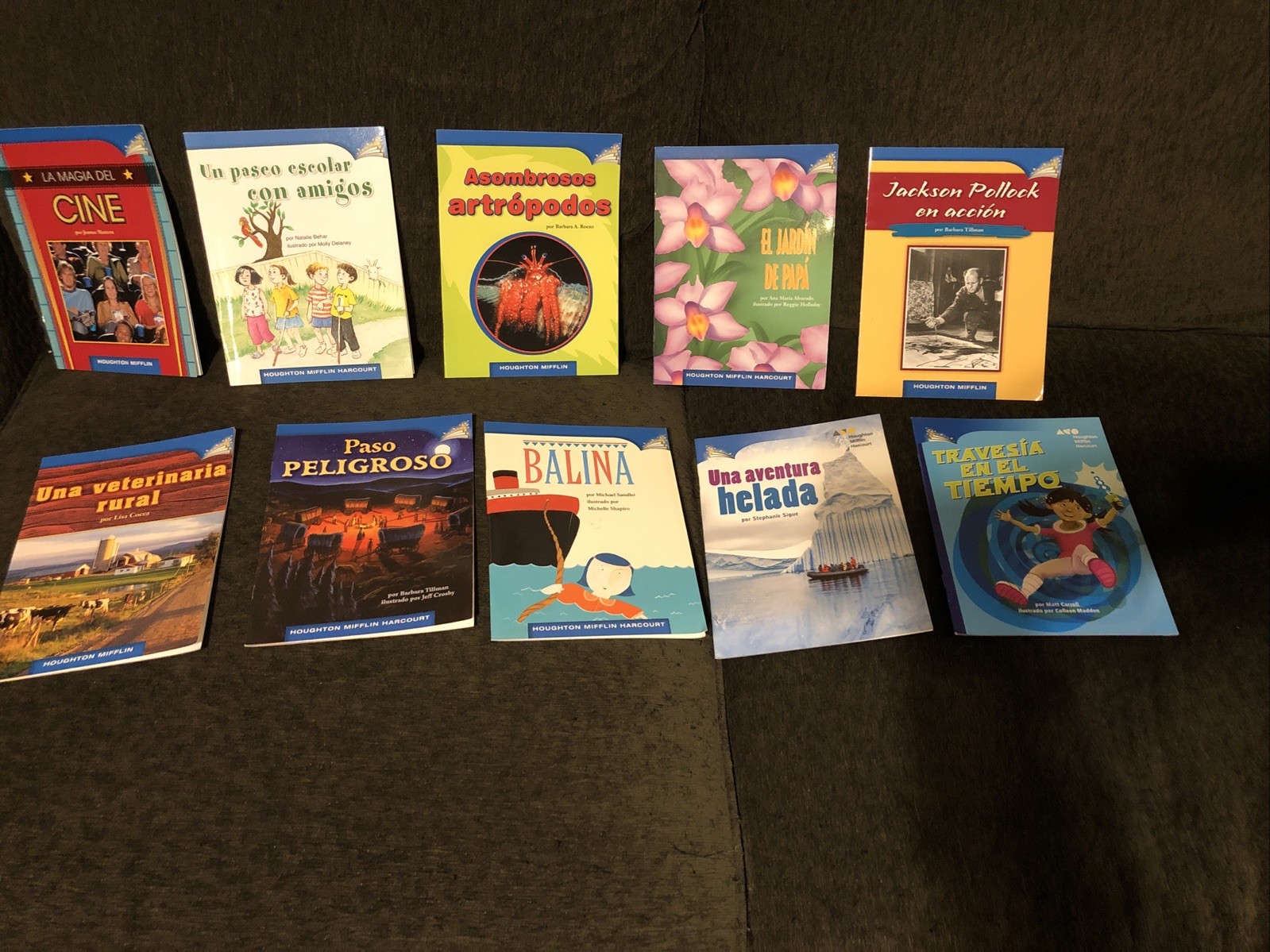 SPANISH Childrens Leveled Book LEVELS For Grade 1 and Grade 4 – Libros para Nino