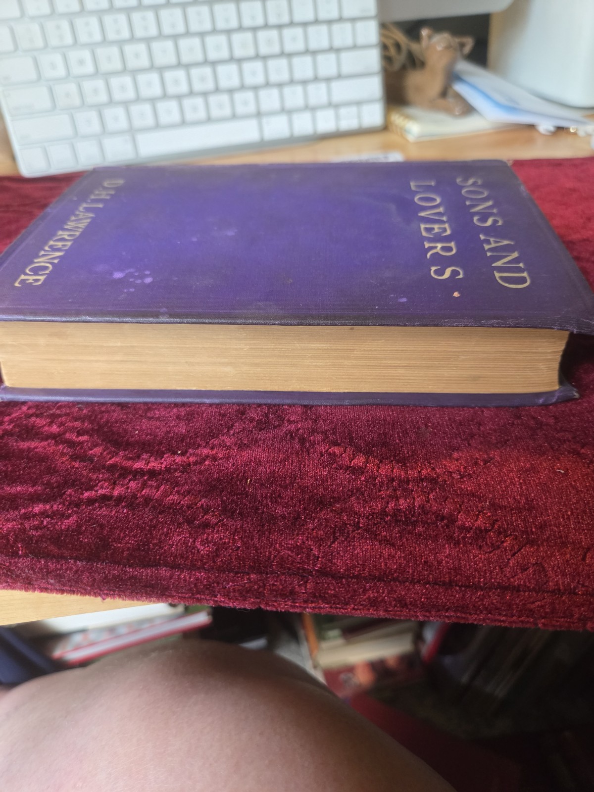 Sons and Lovers by D.H. LAWRENCE ~ First Edition 1913 ~ 1st US Printing