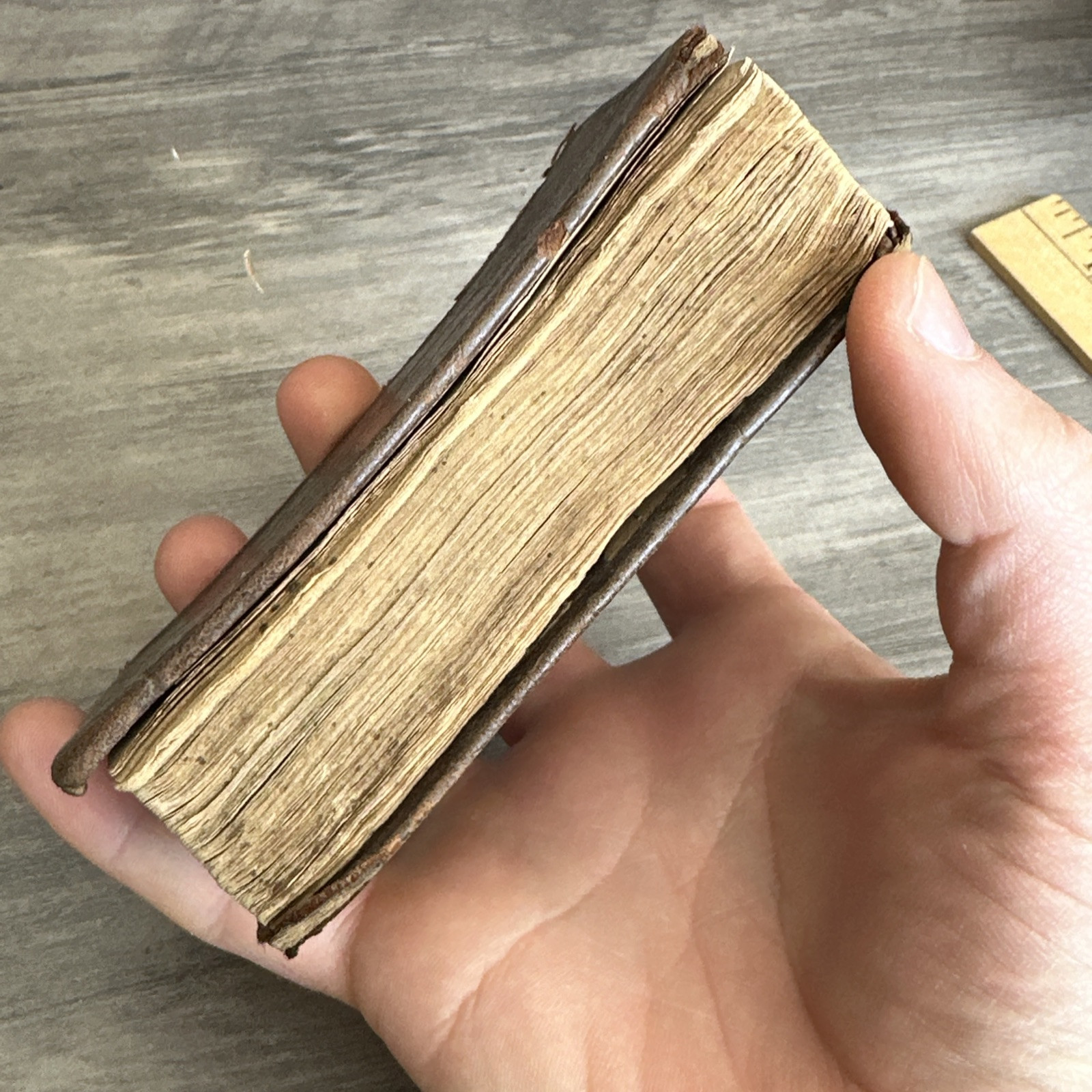 1854 Antique New Testament Pocket Bible American Bible Society Rare Collectible