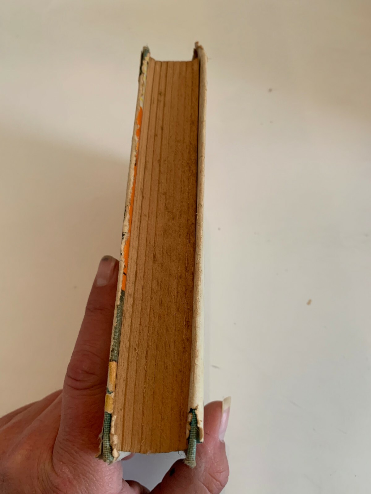 circa 1940’s Black Beauty by Anna Sewell Hardcover With Dust Jacket