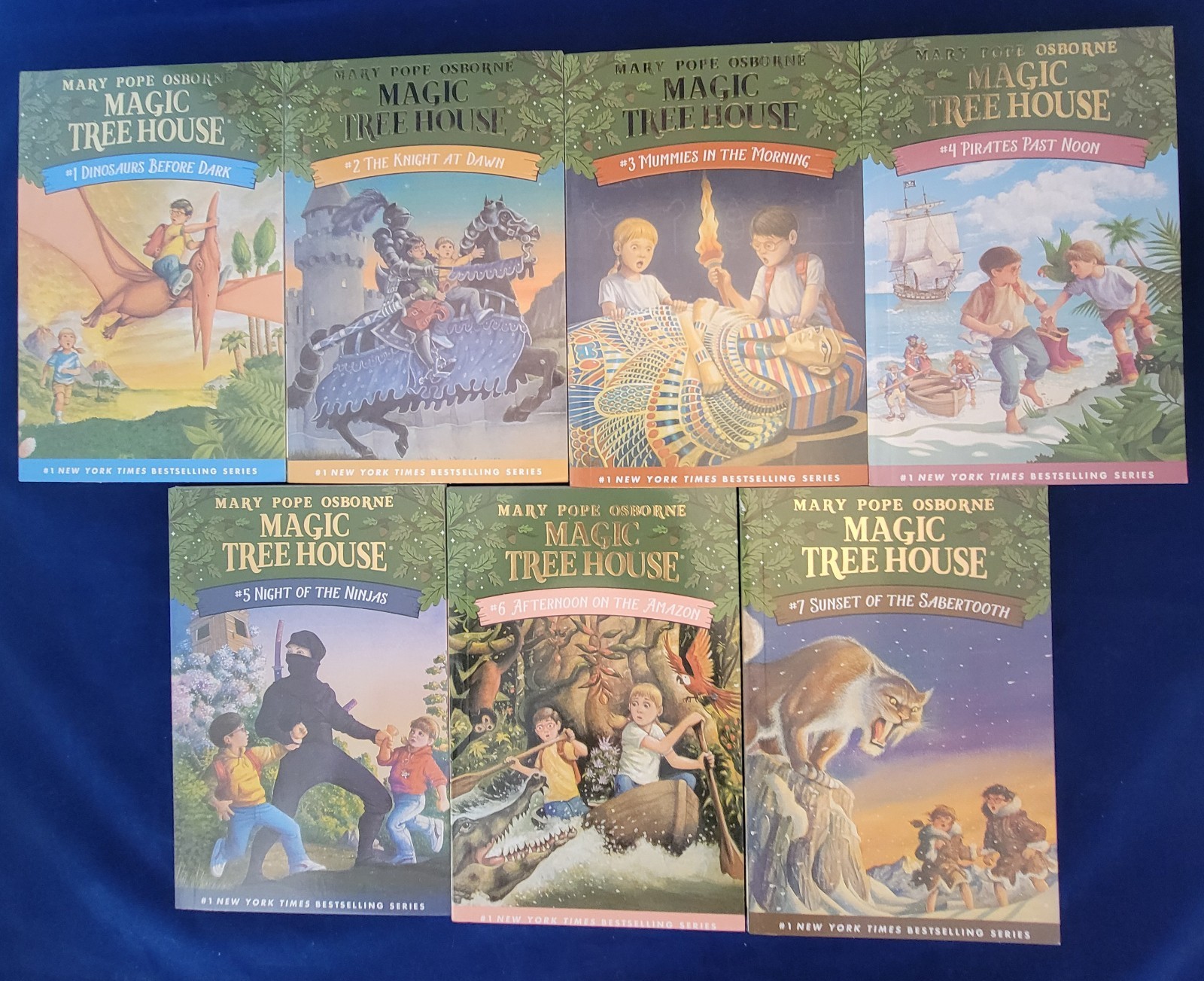 Magic Tree House Books 1–28 Complete Set – Book Collection – Mary Pope Osborne