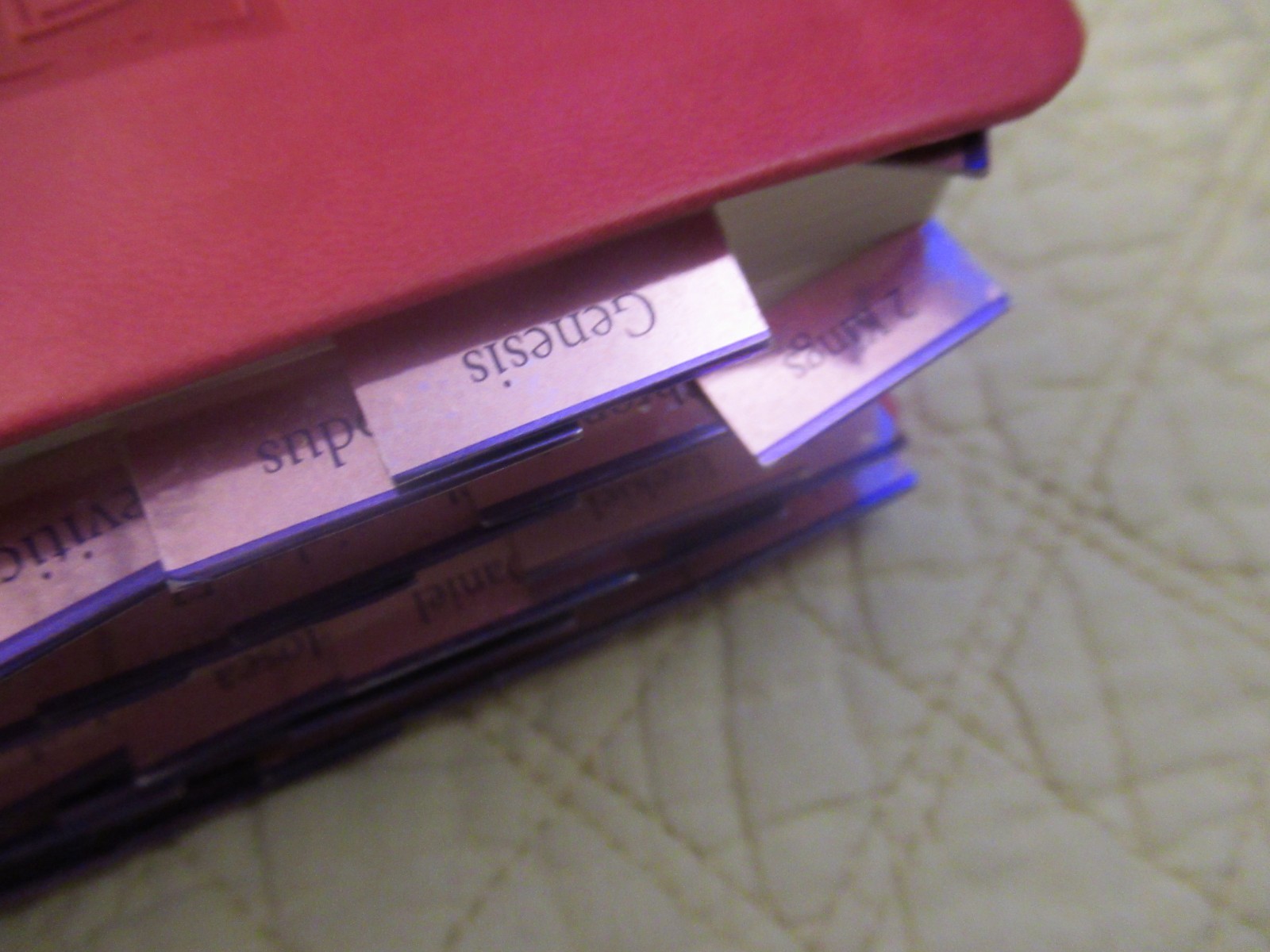 God’s Word for Girls (Pink Faux Leather Bound) (God’s Word Translation)