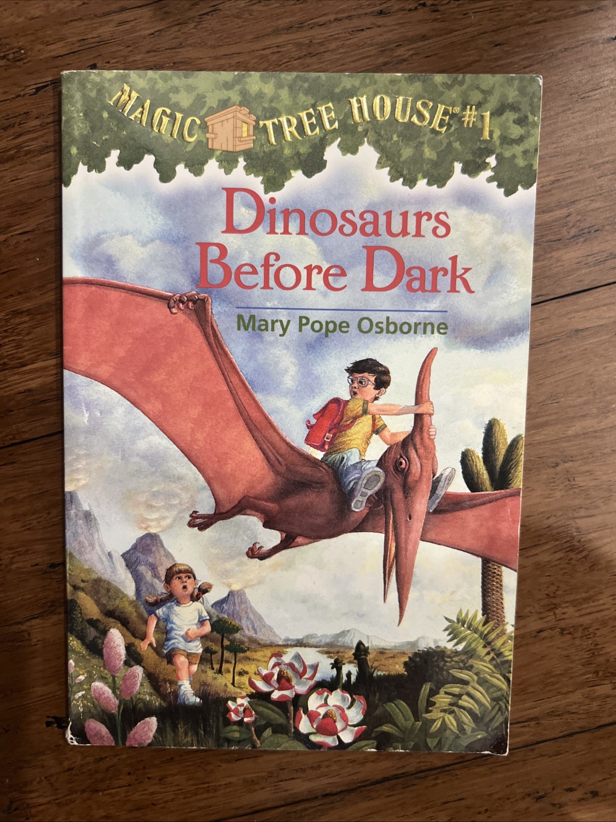 Magic Tree House Books Set by Mary Pope Osborne. Lot Of 55 Books