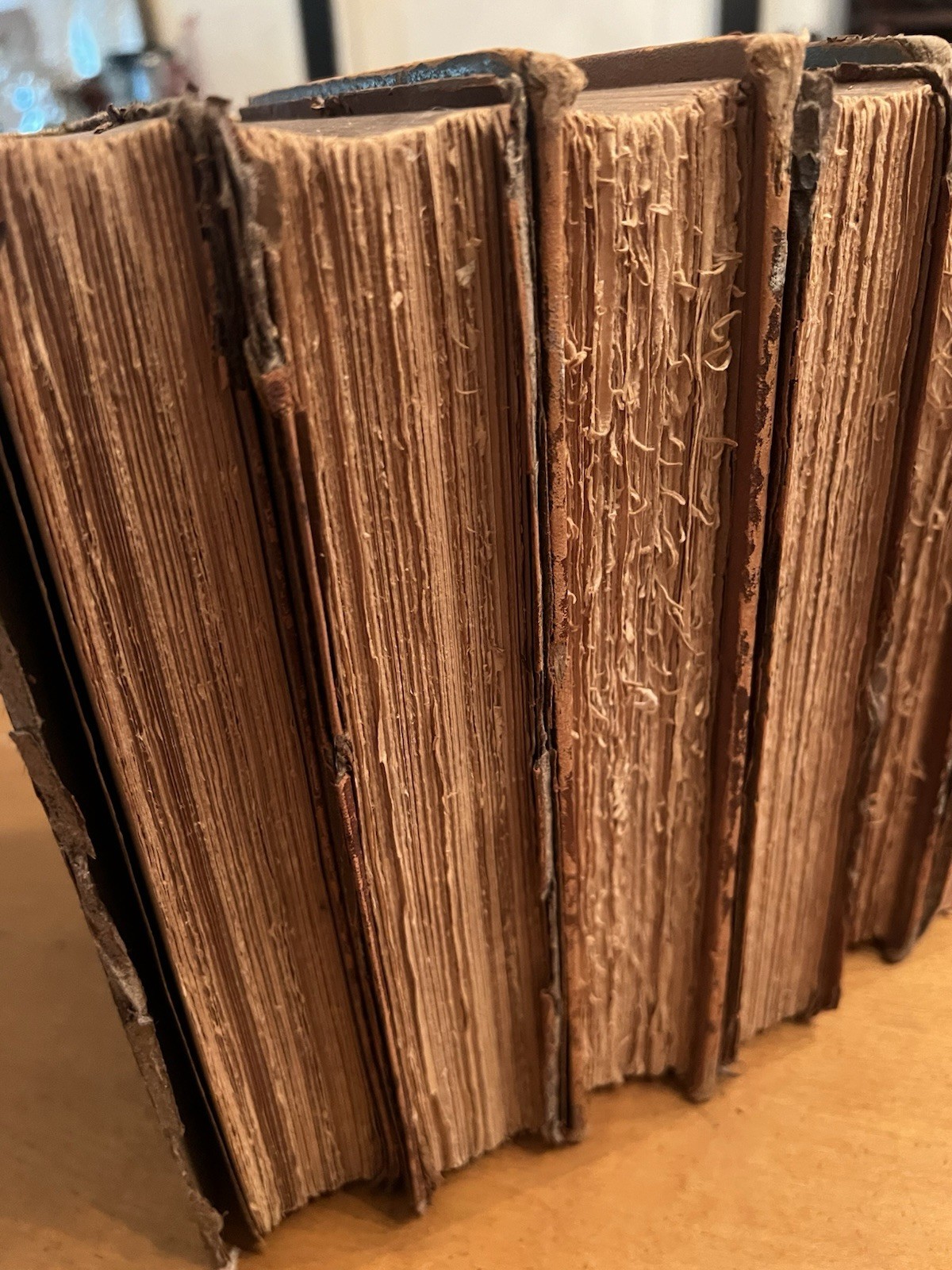 6 Volumes 1916 Little Journeys To The Homes of Great By Elbert Hubbard