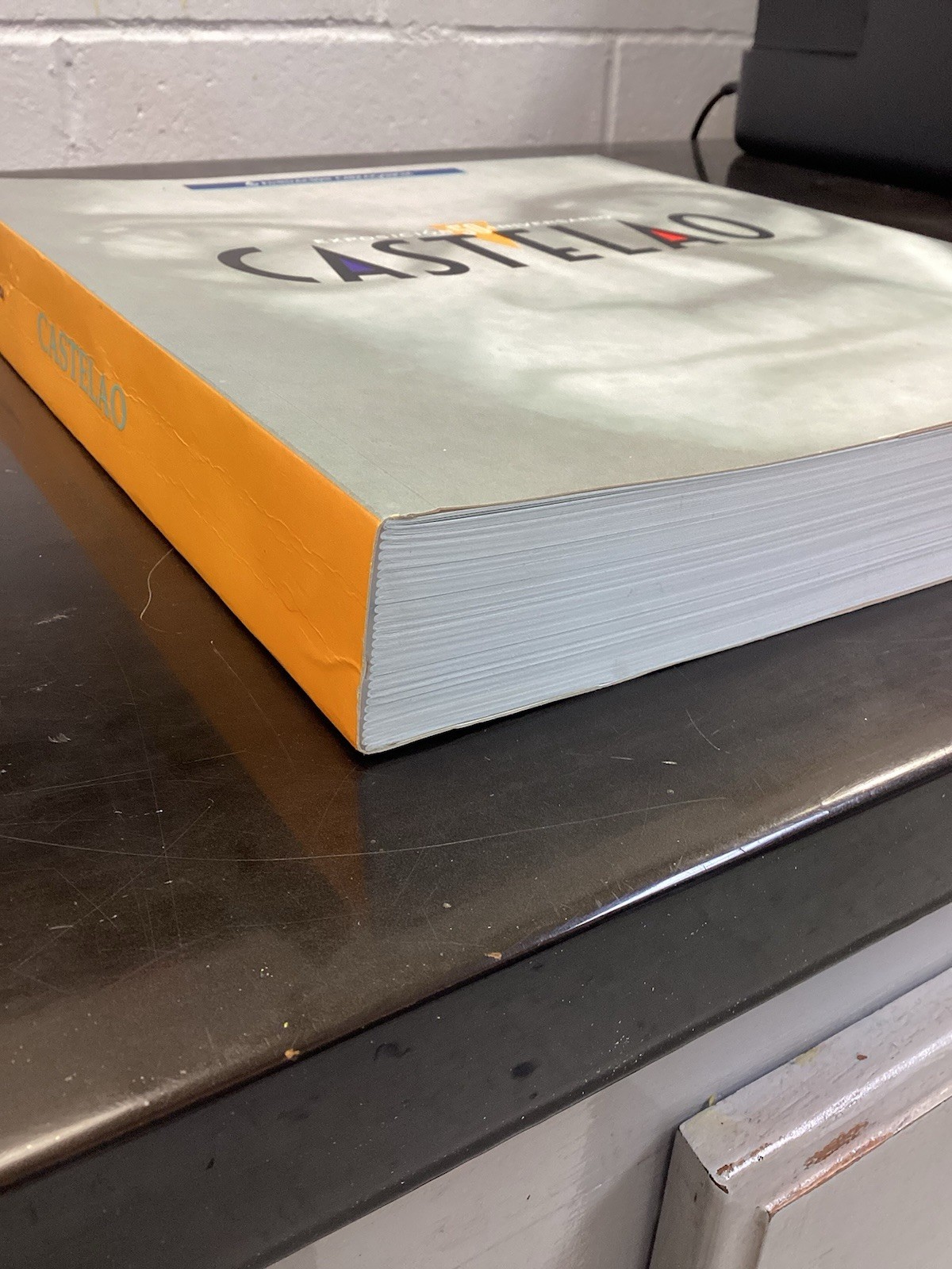 CASTELAO/50 ANIVERSARIO/G COND PB/ART BOOK FULL COLOR