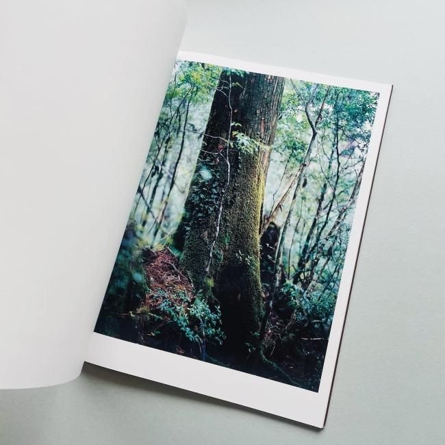 Materia : Yoshihiko Ueda / Yakushima Forest Photo Collection 2012 Japan