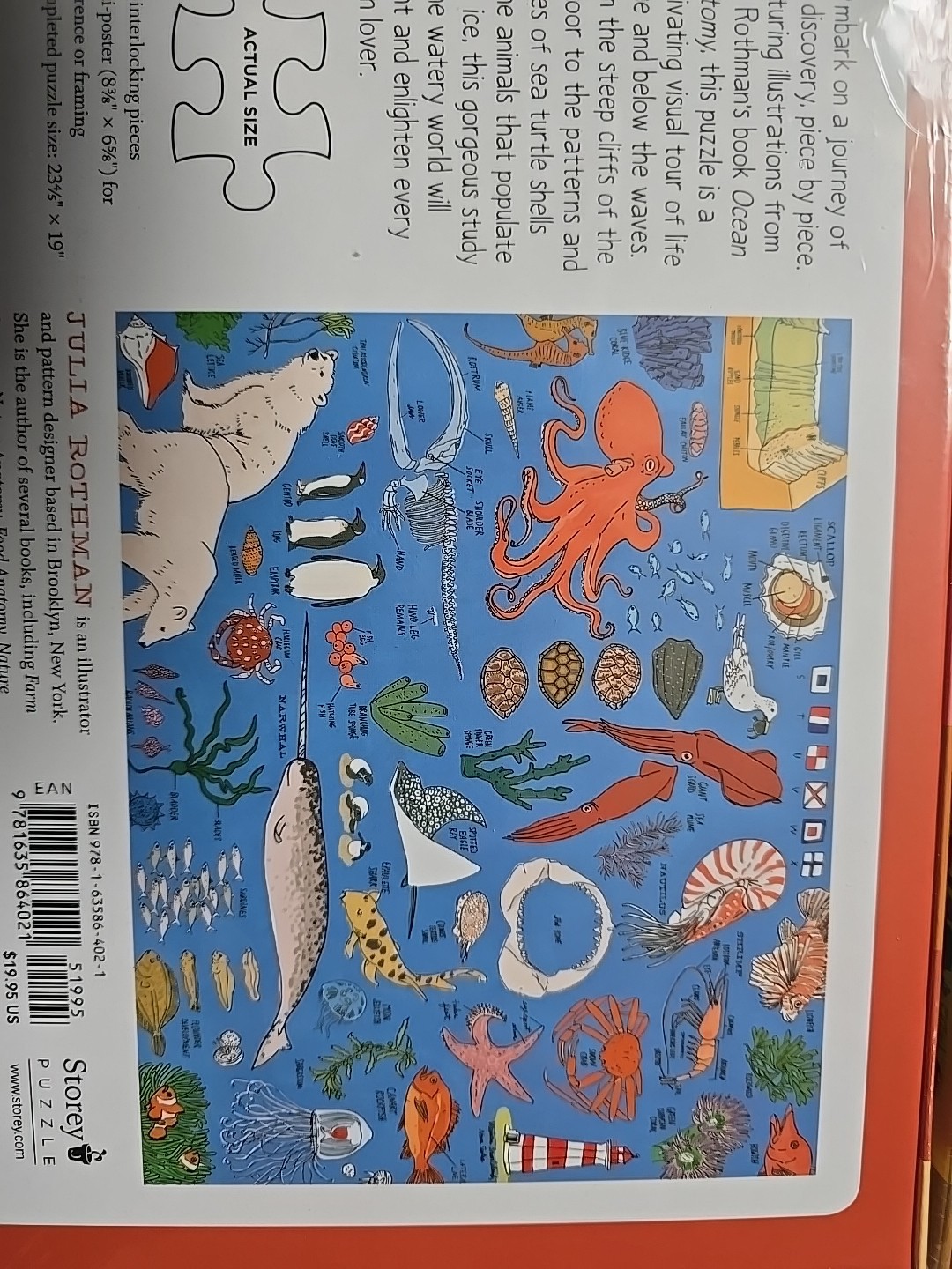 New Nature + Ocean Anatomy: The Puzzle (500 pieces) Julia Rothman Bundle