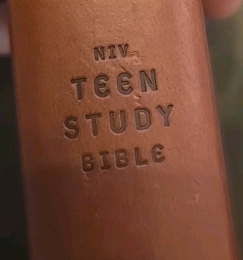 NIV Teen Study Bible Leather Bound Paperback