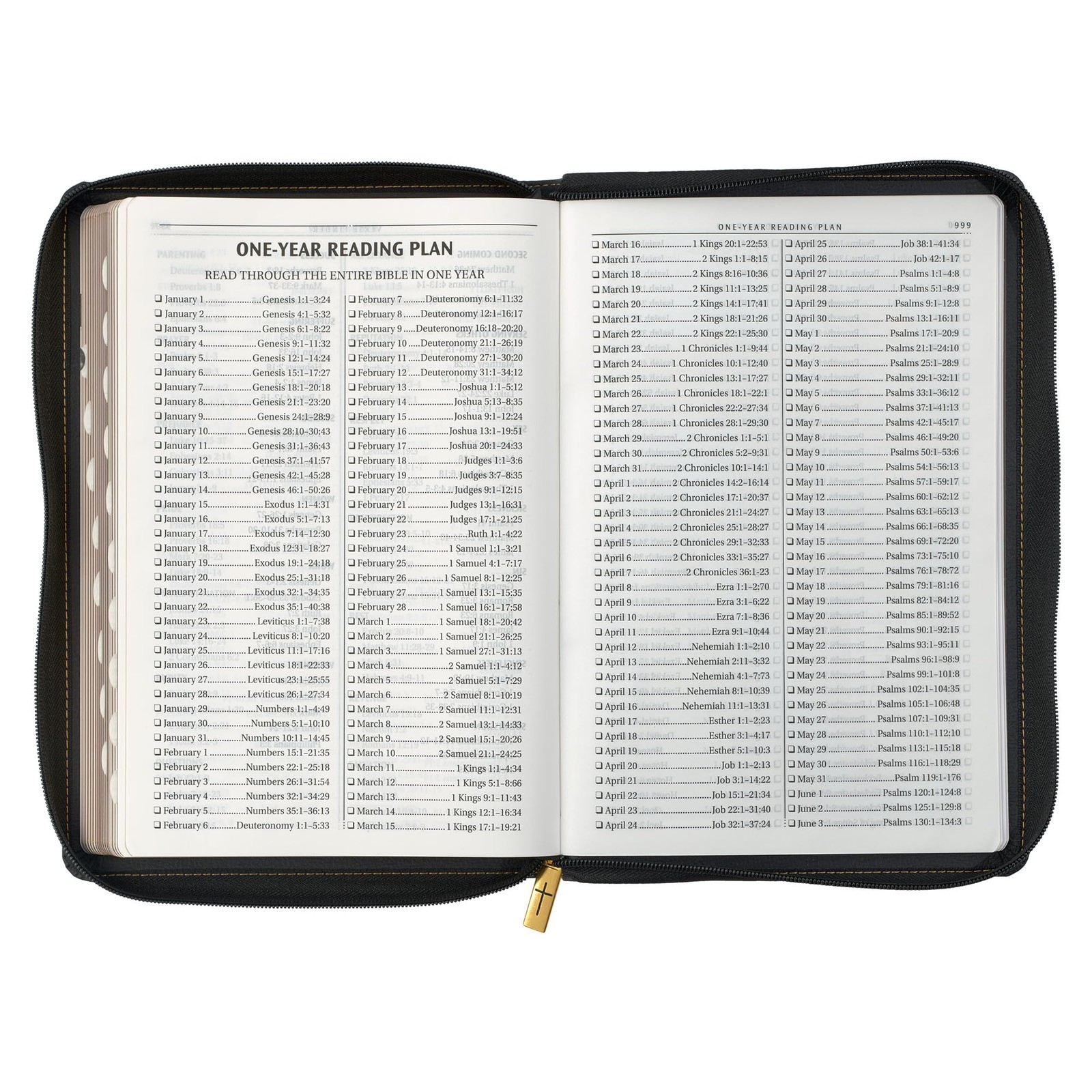 KJV Holy Bible, Thinline Large Print Faux Leather Red Letter Edition Thumb In…