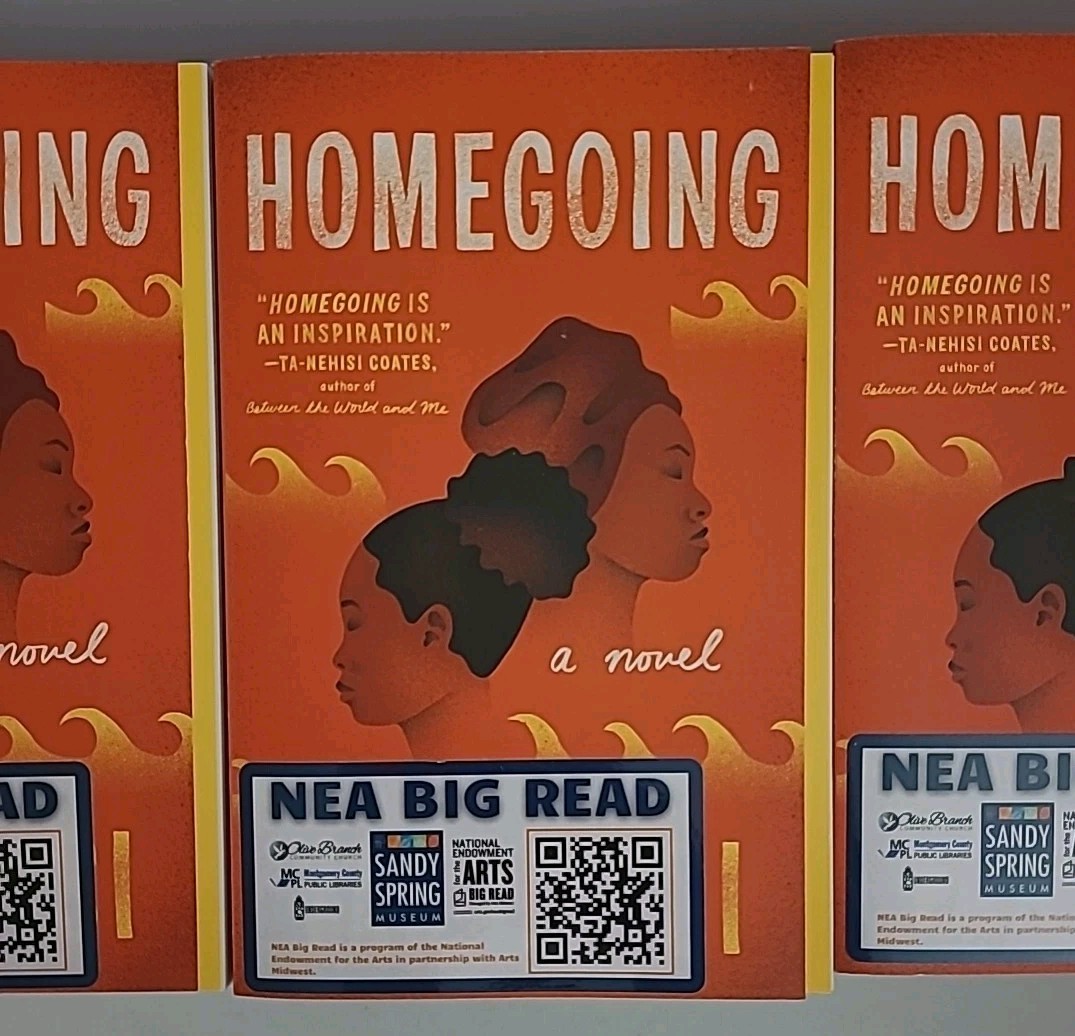 40-Copies of Homegoing by Yaa Gyasi (2017, Trade Paperback) Great For Teaching