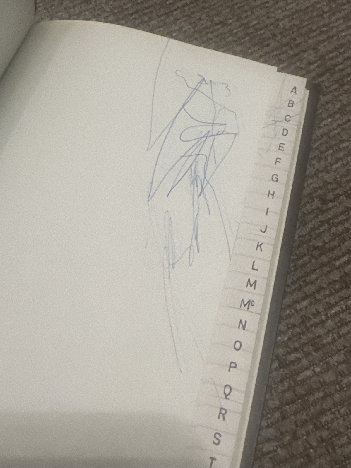 Vintage S.E. Ledger Accounting book