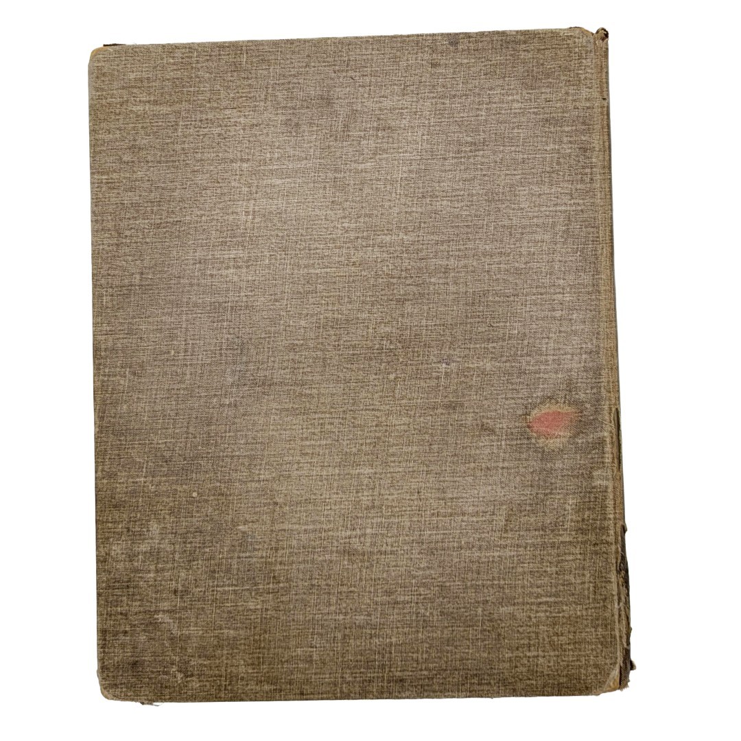 The Rosebud Annual, Vintage Book, Illustrated, 1894