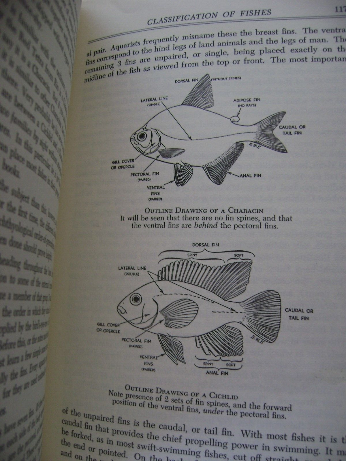EXOTIC AQUARIUM FISHES 19th EDITION REVISED DR. WILLIAM T. INNES 1966 592 PAGES
