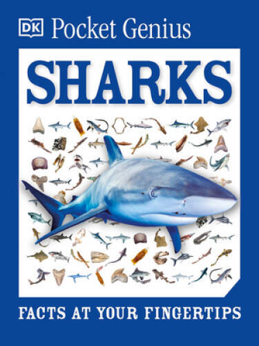 Pocket Genius: Sharks – Paperback By DK – VERY GOOD