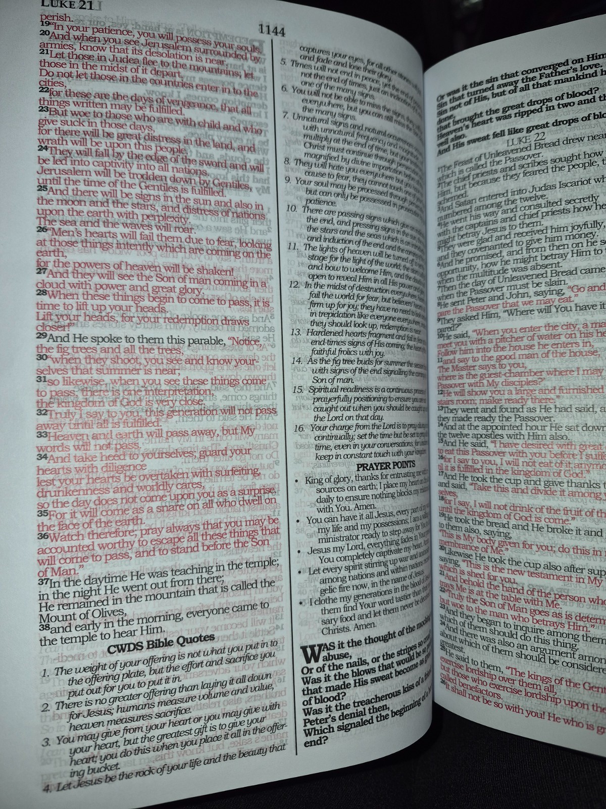Caribbean Worship and Devotional Study (CWDS) Bible Vegan Leather Black