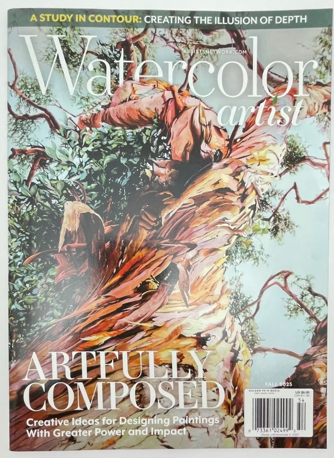 Books – Watercolor Artist – Artfully Composed – Fall – 2025 – NEW