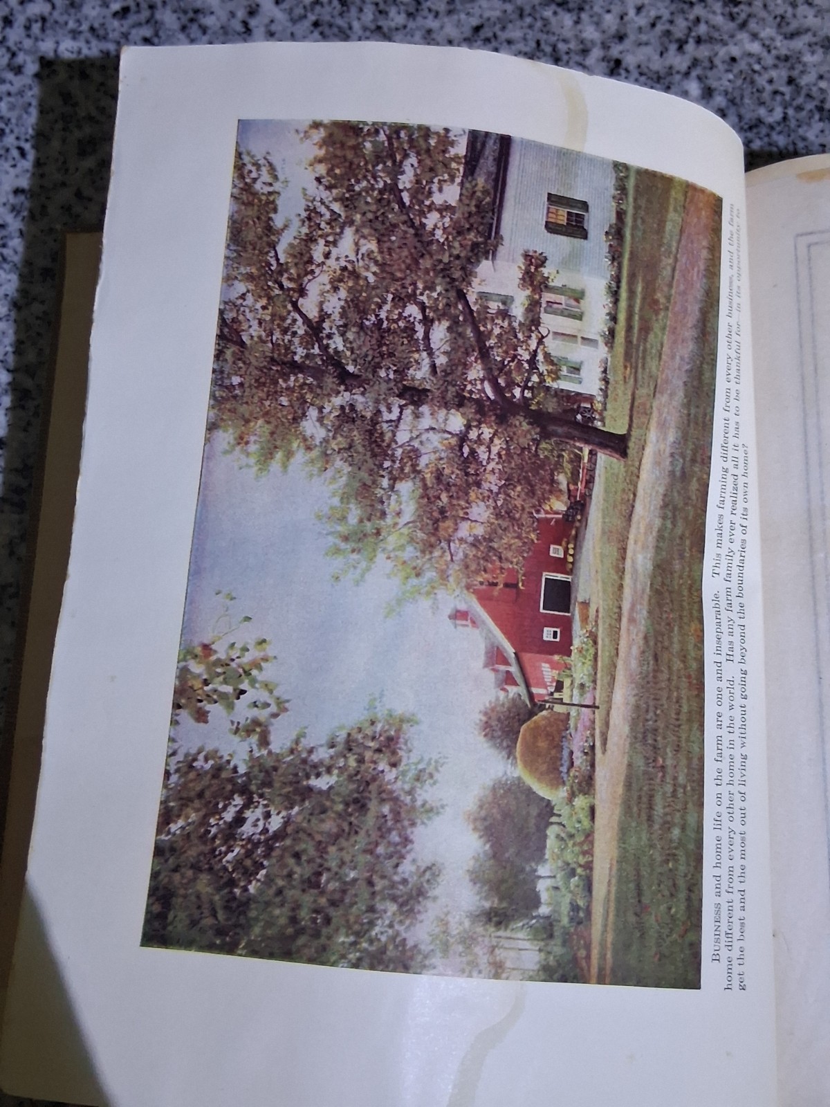 1919 Antique Agriculture Book “Farm Knowledge: Farm Management”