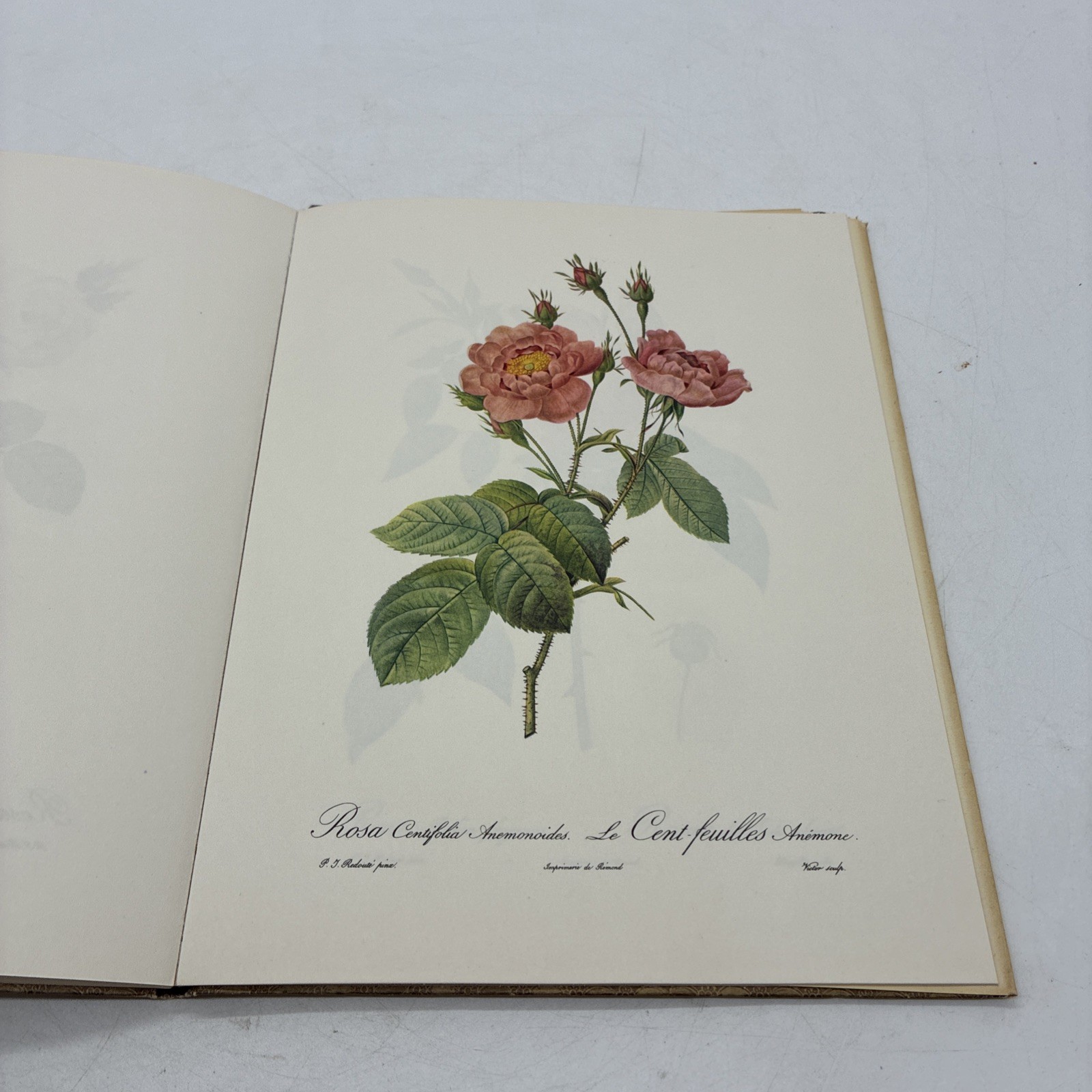 Roses by Pierre Joseph Redoute Golden Ariels First Published 1963 Dust Jacket