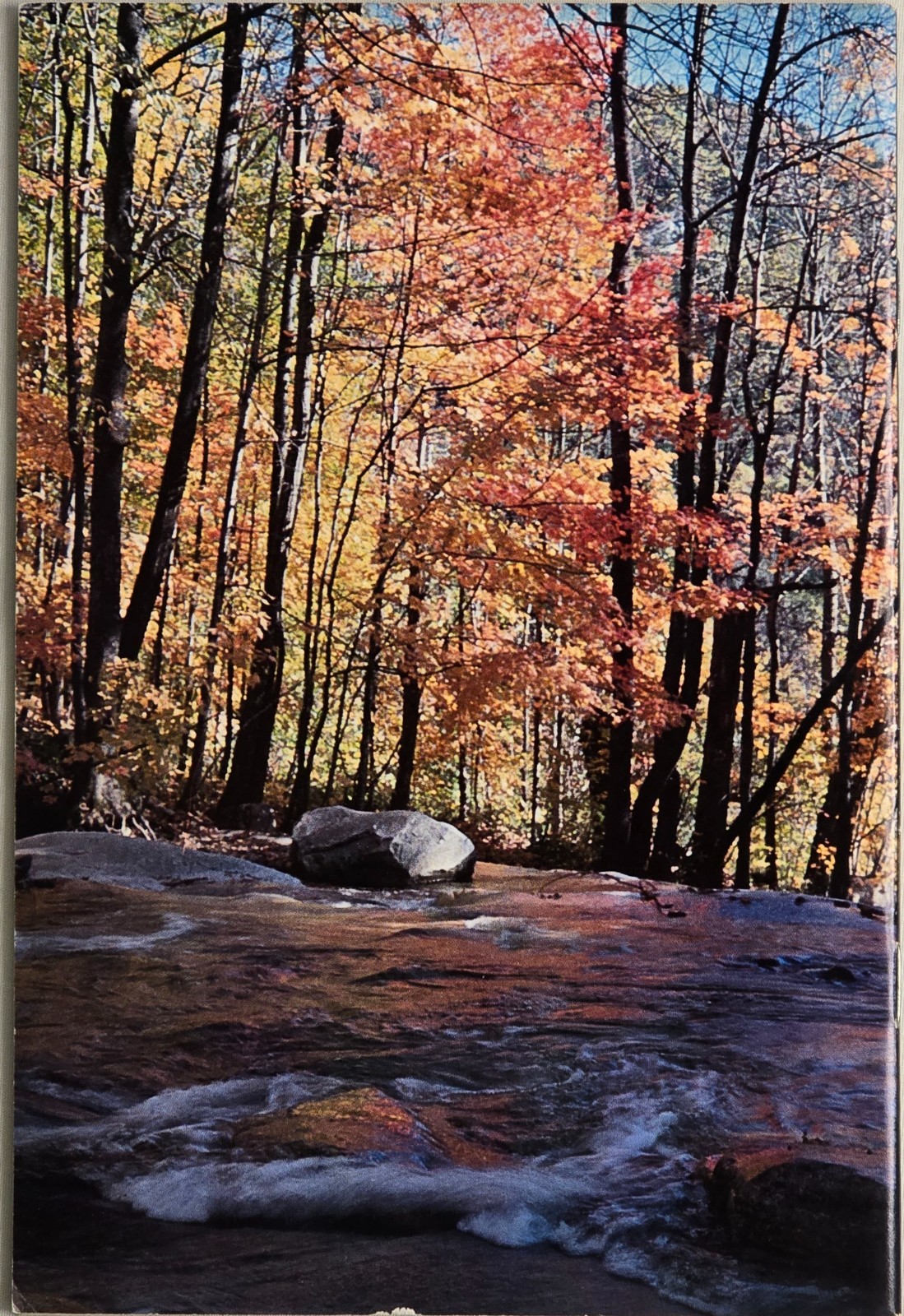 Self-Realization Fellowship Magazine Yogananda – Full Year 1977 (4 Issues)