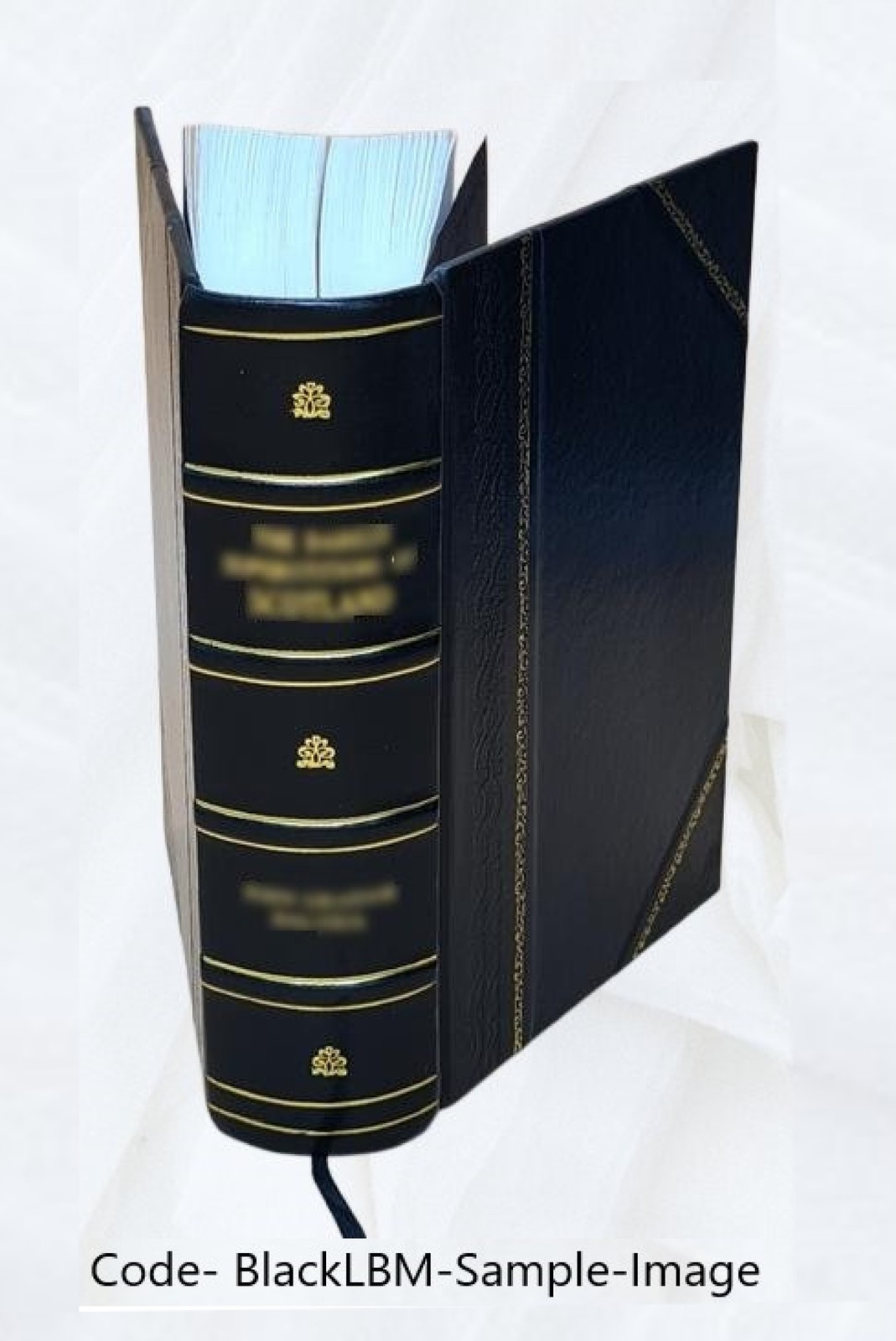 Index of patents issued from the Unit V. Index 1972, Part 1 1920 [Leather Bound]