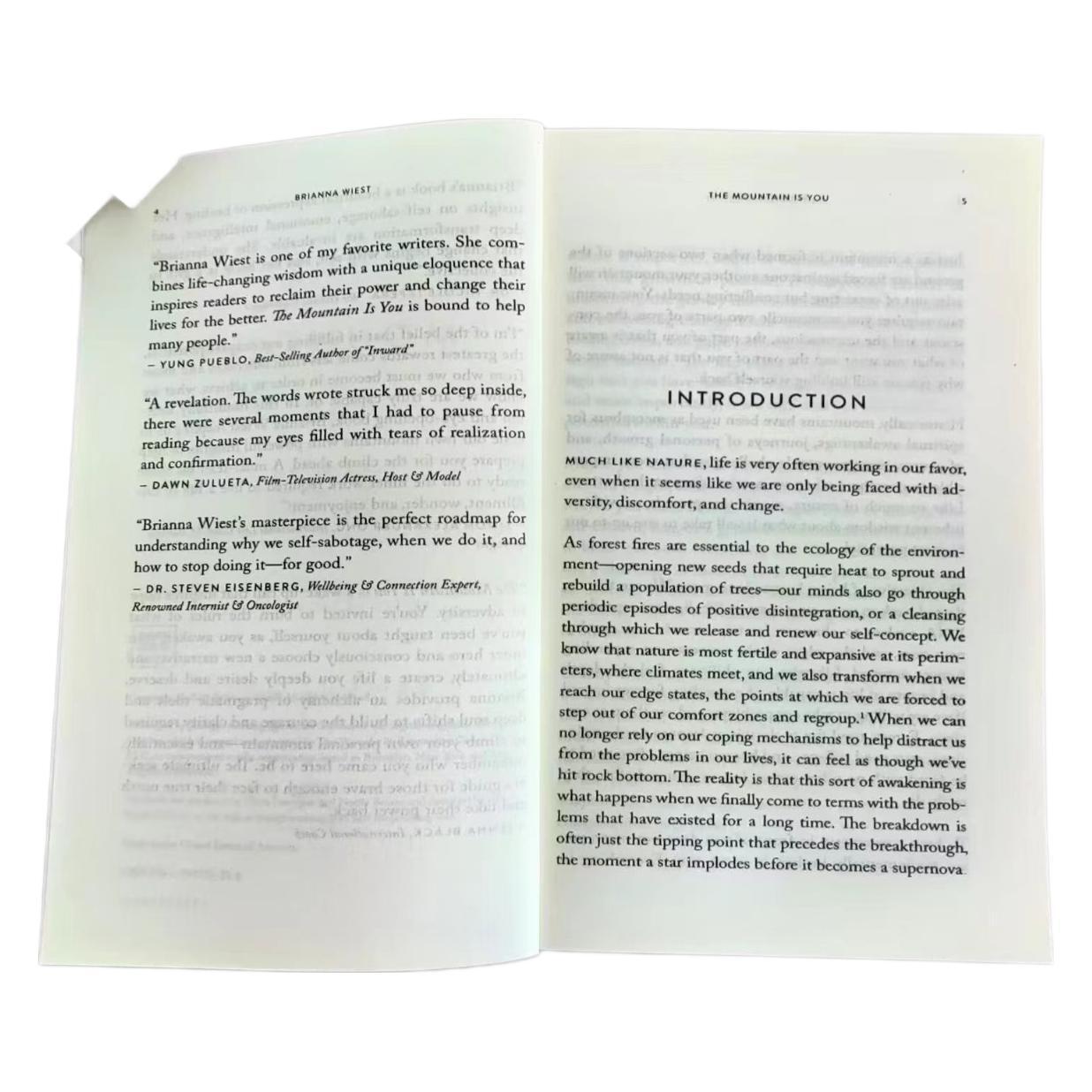 the Mountain Is You: Transforming Self-sabotage into Self-mastery English Books