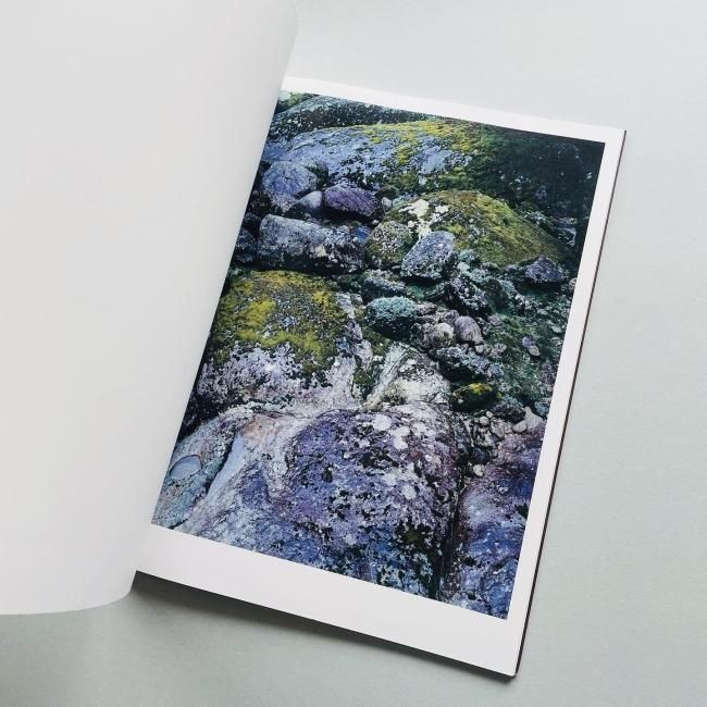 Materia : Yoshihiko Ueda / Yakushima Forest Photo Collection 2012 Japan