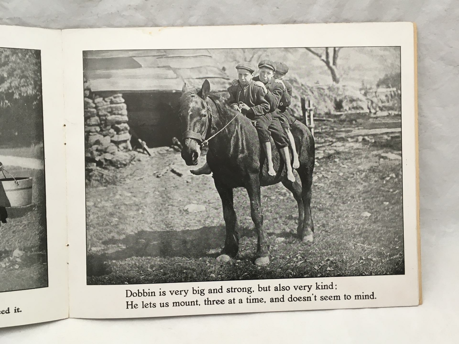 Adorable Antique Children’s Book COUNTRY PLAYMATES Great Color Images 12.25×9.75