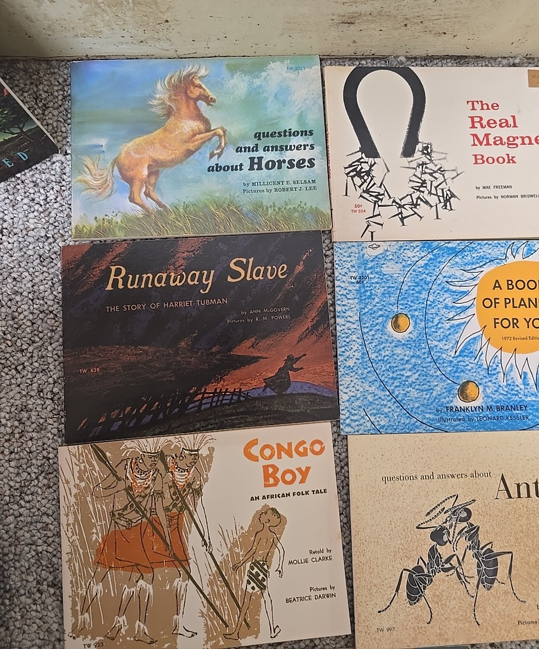 Lot of 10 Mixed Authors Runaway Slave, Congo Boy, Ants Paperback Childrens Books