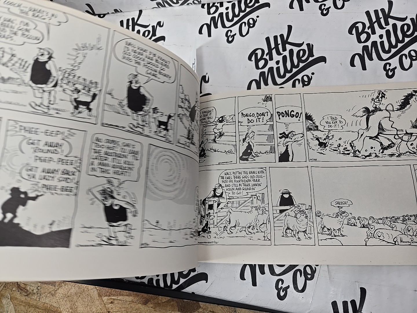 FOOTROT FLATS By Murray Ball. (Foreword By Charles Schulz) ,1992