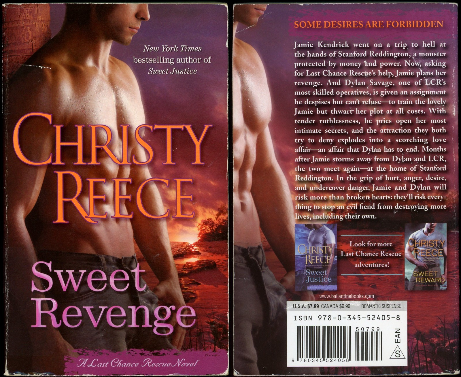 Last Chance Rescue Sensual Romance Lot of 6 Paperback by Christy Reece