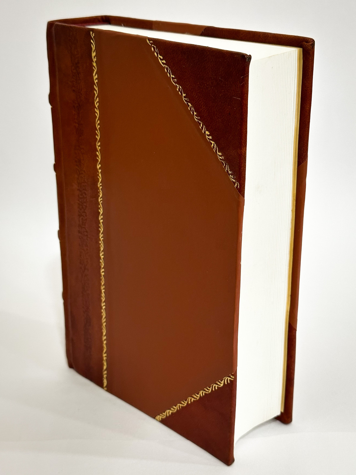 History of a Lawsuit / by Abraham Caruthers. [Leather Bound]