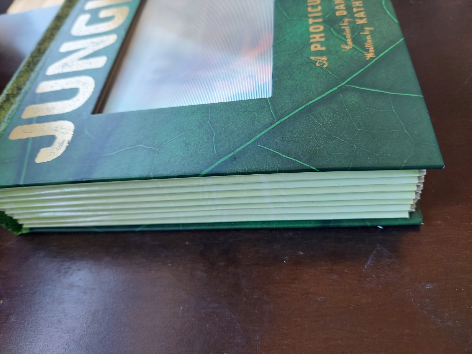 JUNGLE A PHOTICULAR BOOK by Kathy Wollard and Dan Kainen (2016, Hardcover)