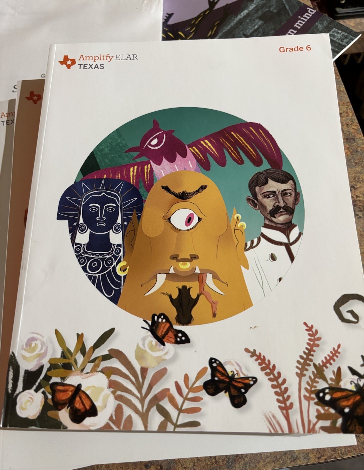 Amplify 6th Grade ELAR Student & Teacher Edition With Activity Book & Posters