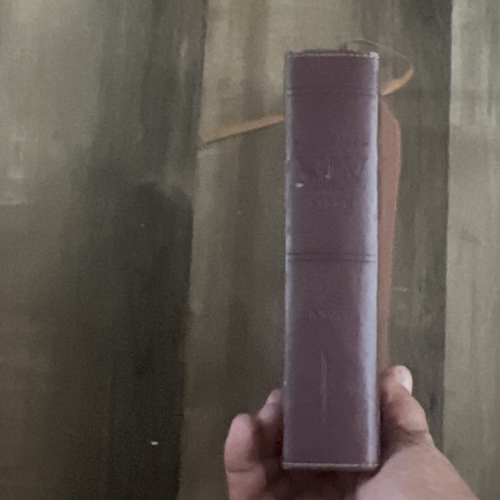 Zondervan NIV Compact Study Bible Italian Duo-Tone Tan Burgundy 2011 Small Print