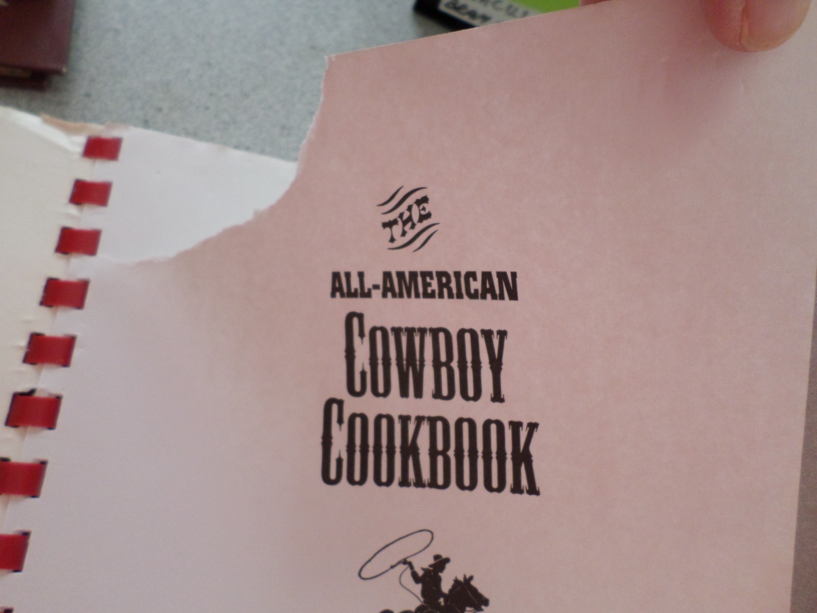 Spiral Cookbook 1995 The ALL AMERICAN COWBOY COOKBOOK 300+ Recipes 254 Pages