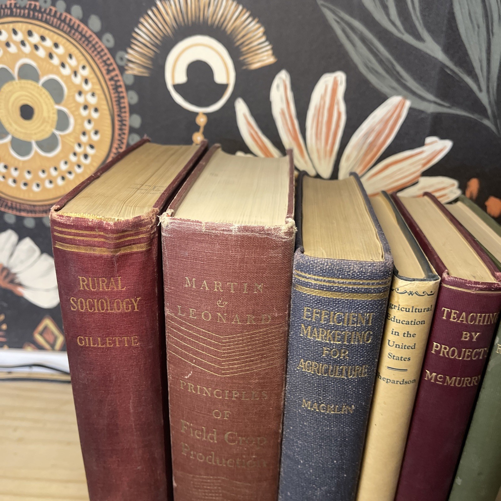 Antique Macmillan Agriculture & Rural Sociology Lot (6) 1920-1929 First Editions