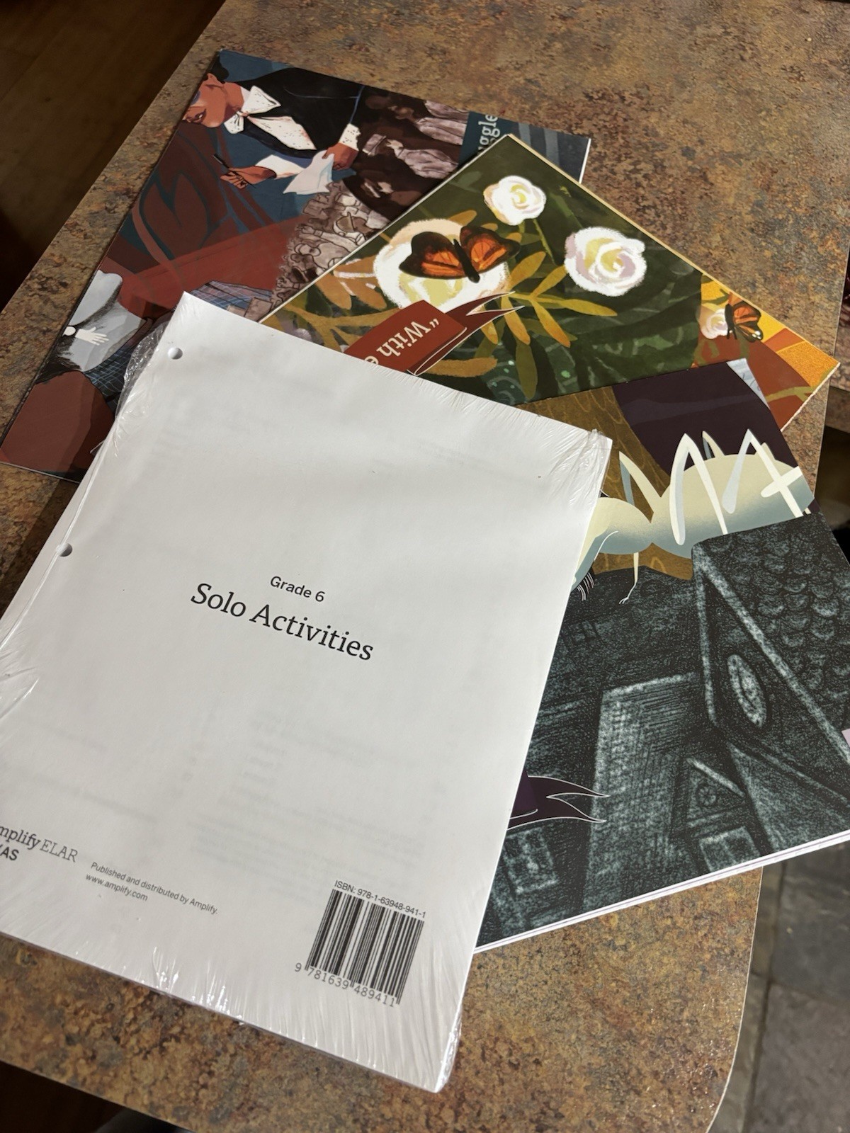 Amplify 6th Grade ELAR Student & Teacher Edition With Activity Book & Posters