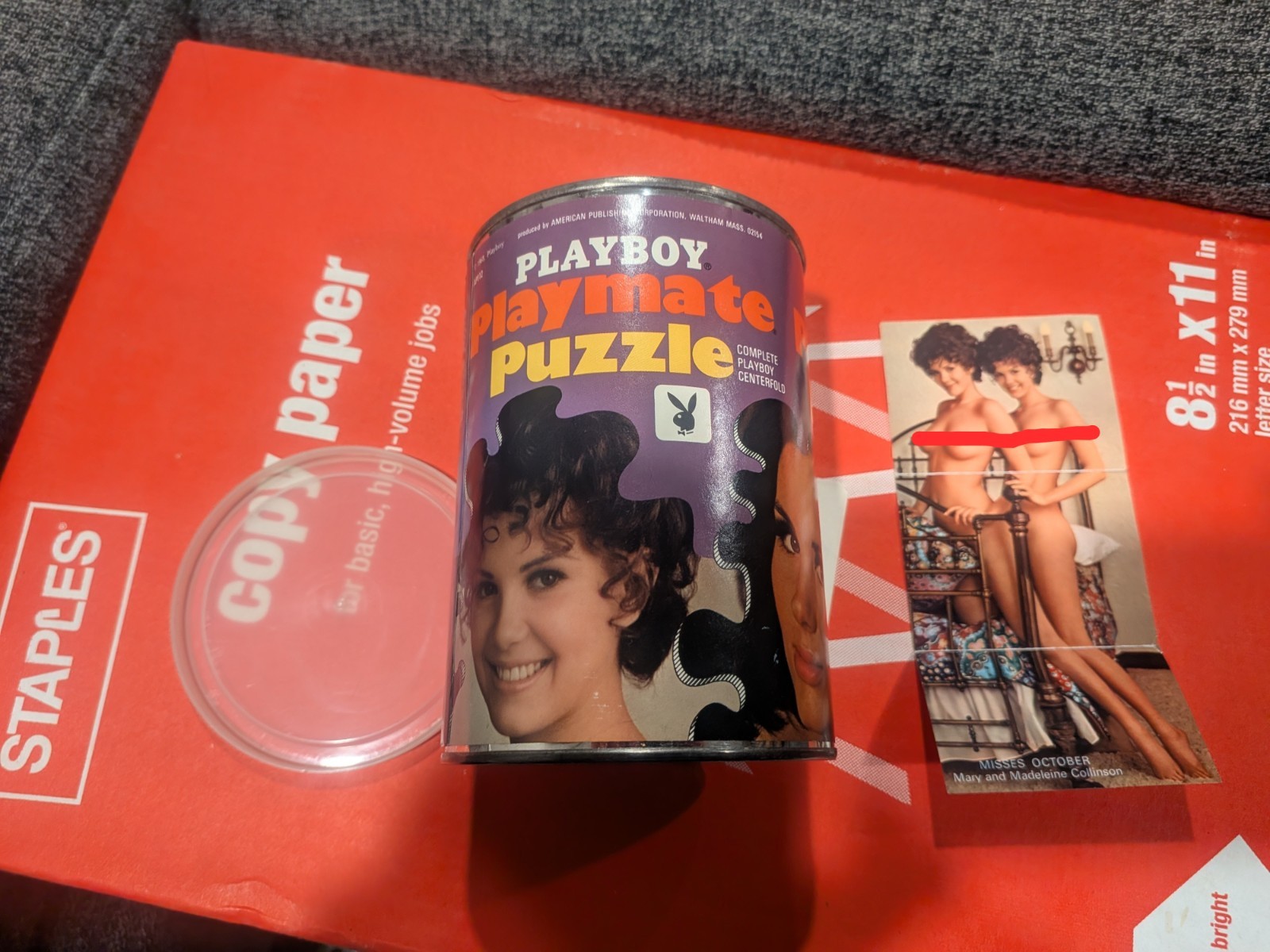 SEALED **1970 Playboy Playmate Puzzle Mary & Madeleine Collinson Twins Complete!