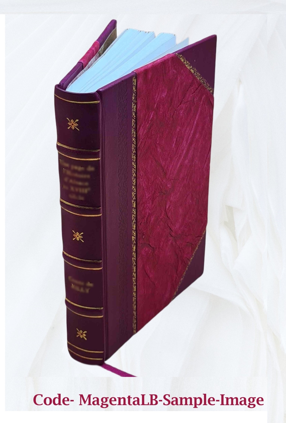 Albertus Magnus : being the approved, verified, sympathetic and [LEATHER BOUND]