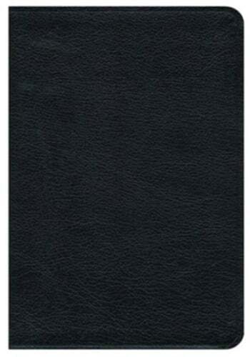 Premium Bible-NRSV by Cokesbury: Used