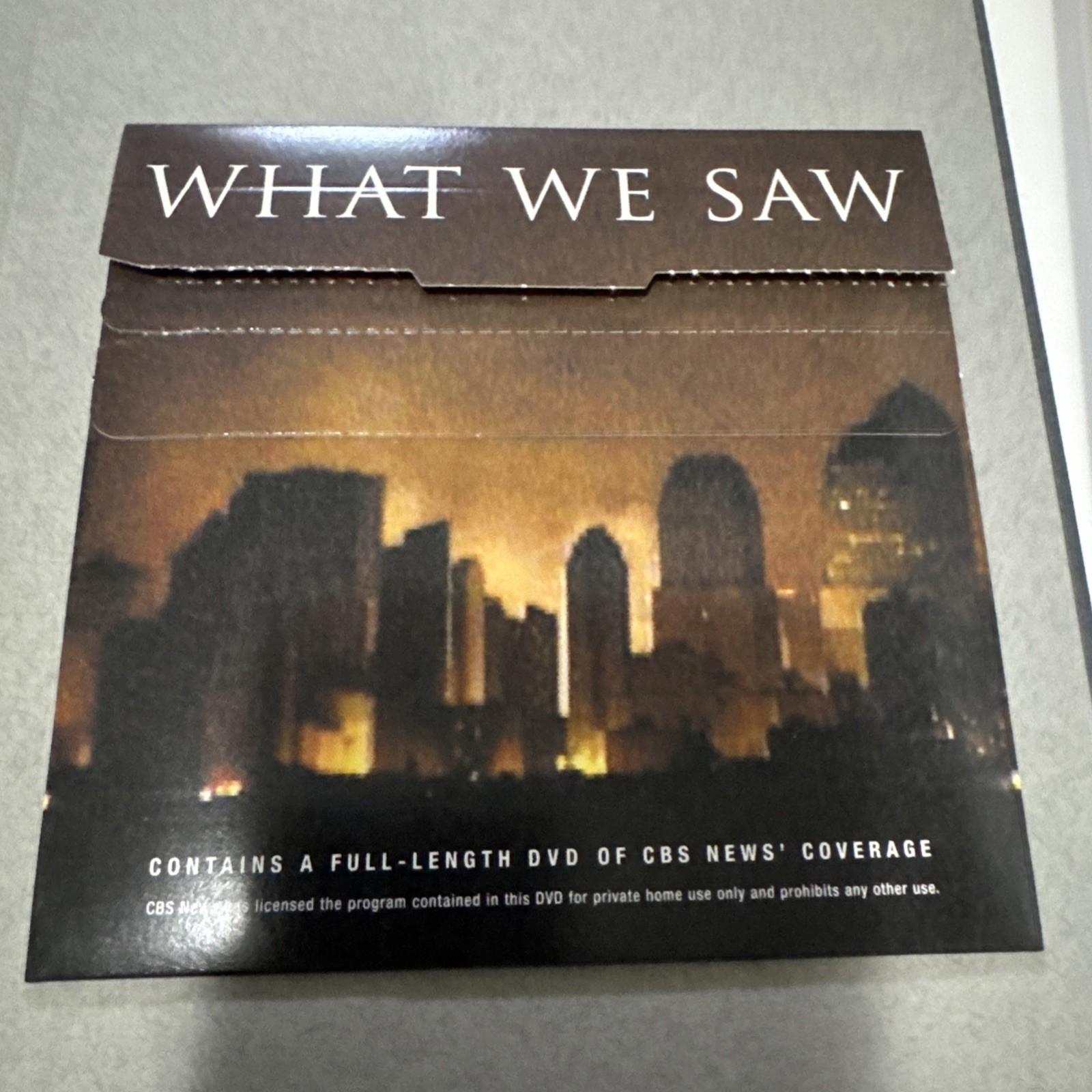 What We Saw : The Events of September 11, 2001 in Words, Pictures, and Video