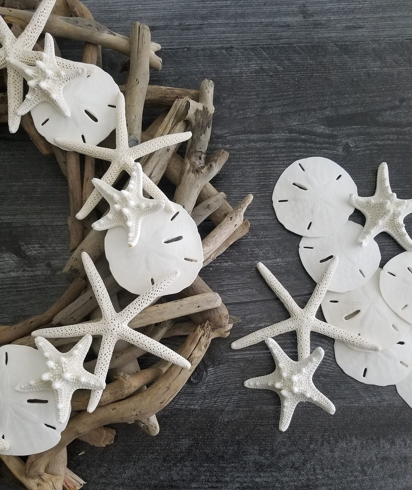 White Sand Dollars 3″-3.5″ – 10pcs – Wedding Seashell Craft Sandollars- Hand …