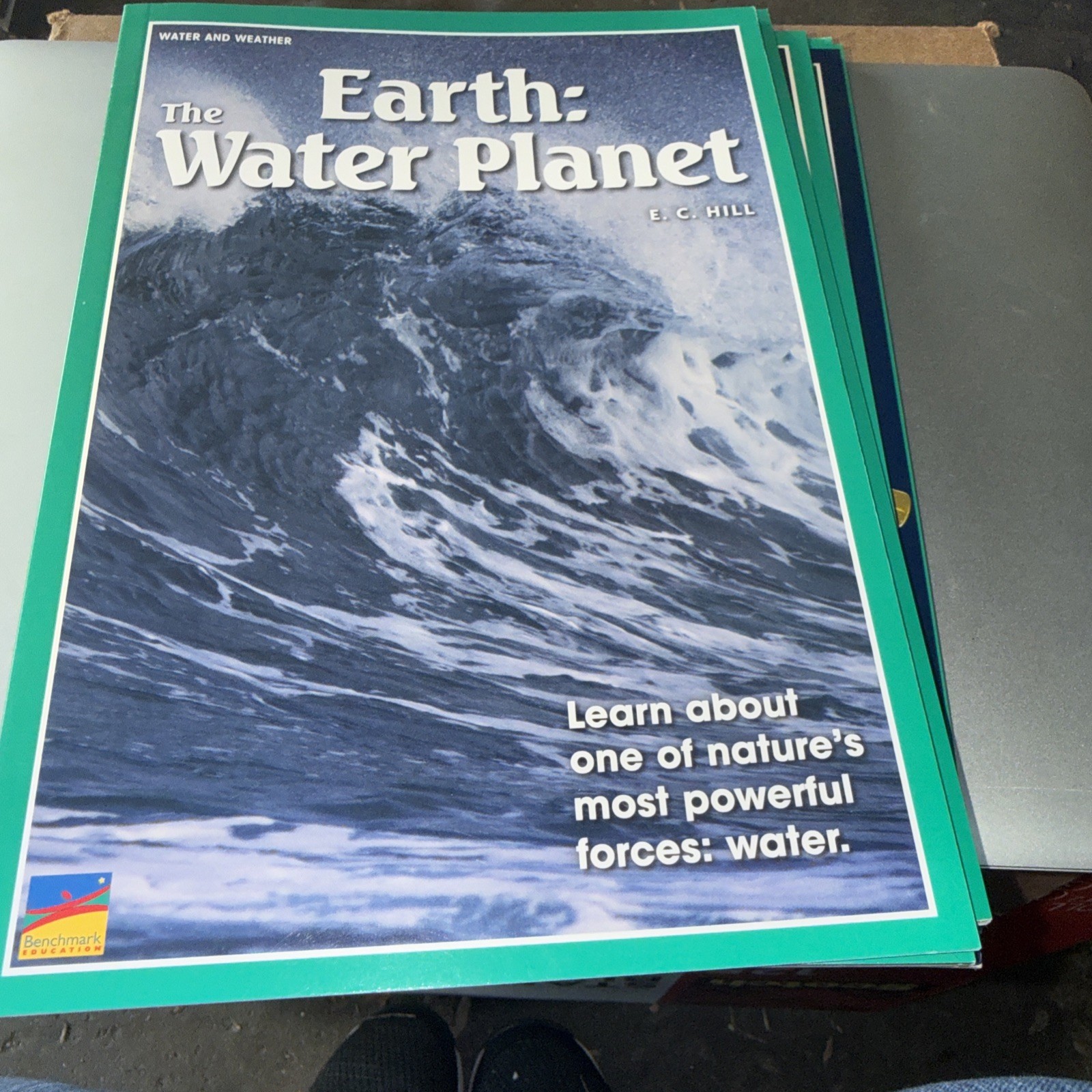 17 Benchmark Educational Book Various Titles See Photos SB Box 1
