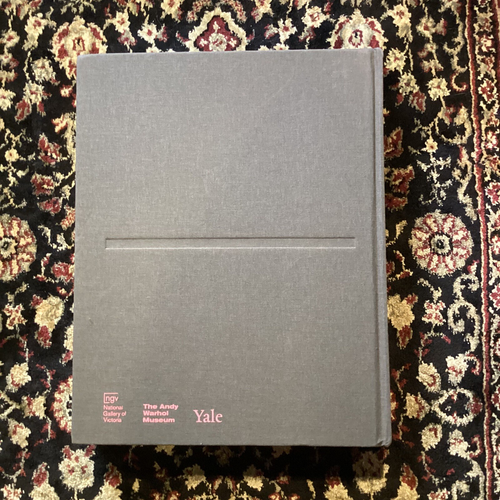 Andy Warhol | Ai Weiwei by Max Delany + Eric Shiner | Hardcover