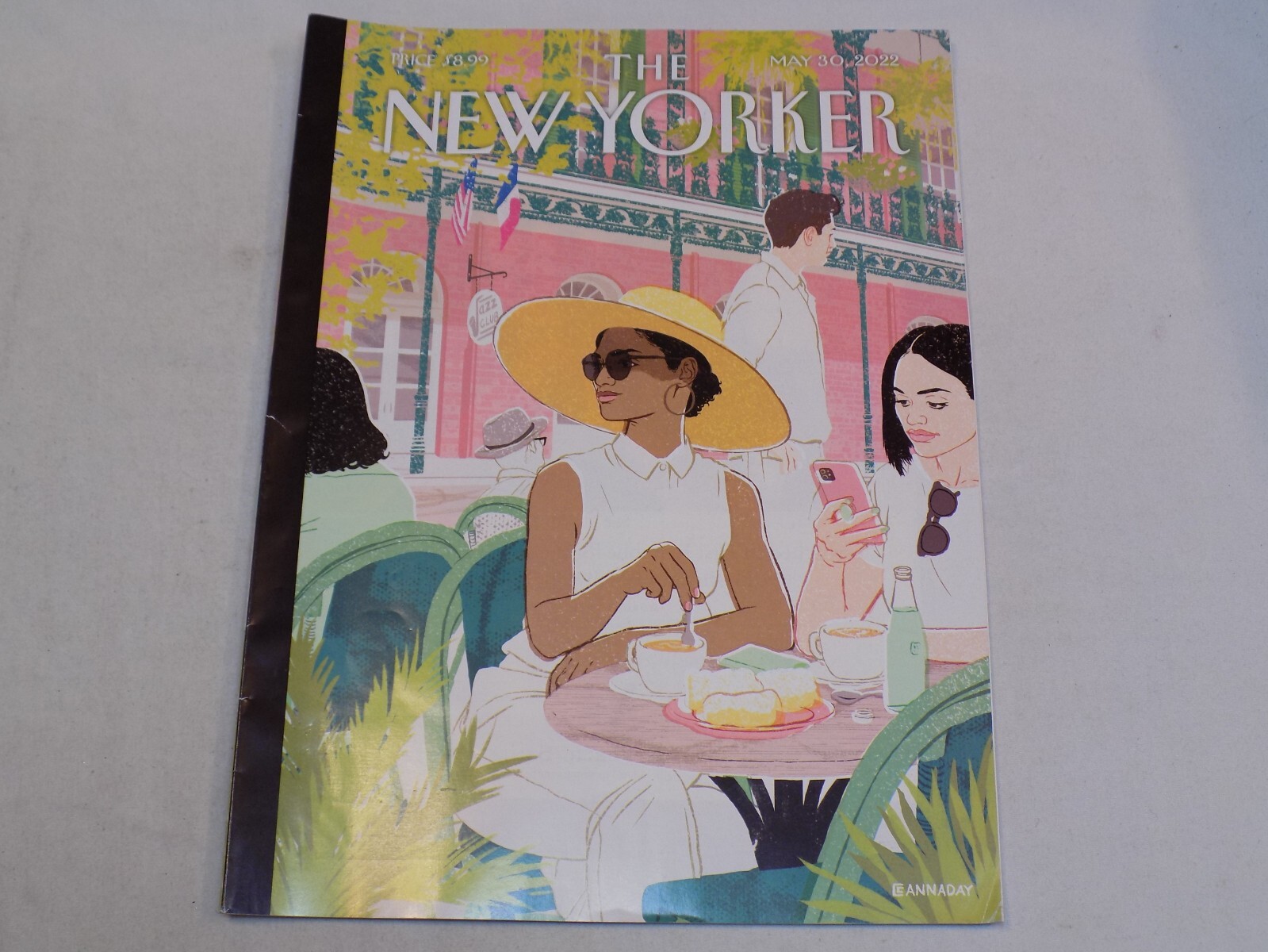 The New Yorker Magazine May 2022 Open Vistas Cannaday Chapman Disney Starcruiser