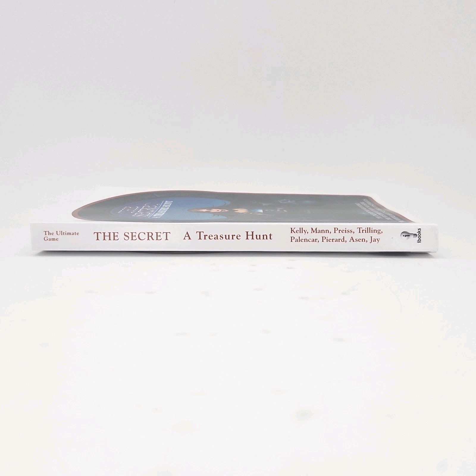 The Secret A Treasure Hunt by Sean Kelly & Ted Mann 2018 Paperback Book