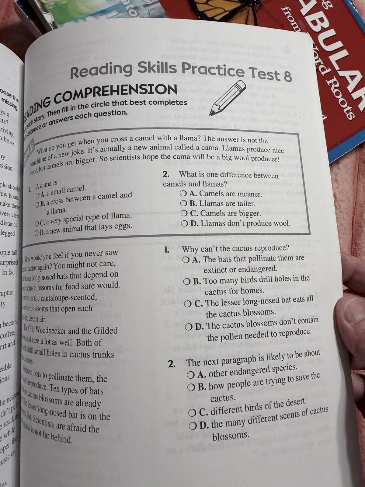 Scholastic Success With Reading Tests, Grade 6 (Scholastic Success with W – GOOD
